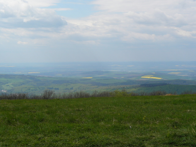 100-4-VyhledxzxJavorinyxnaxmoravskouxstranu.JPG