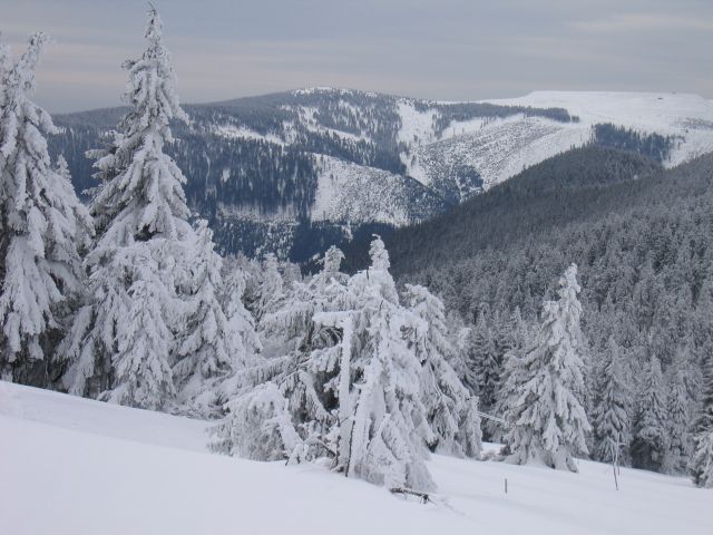 101-17-IMG_5669_reduk.jpg