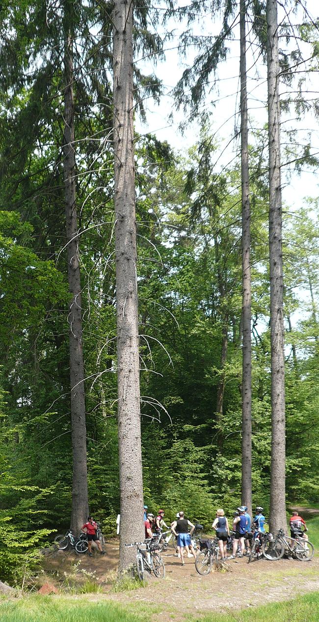 111-57-080601xuxdruhe.jpg