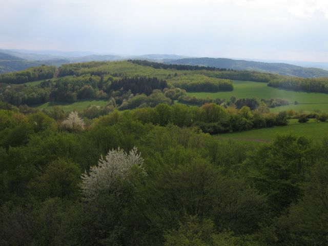 113-17-IMG_5959_Zelen.jpg