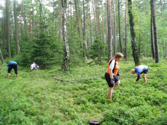 128-61-2008x07x19xBrdyx001.jpg