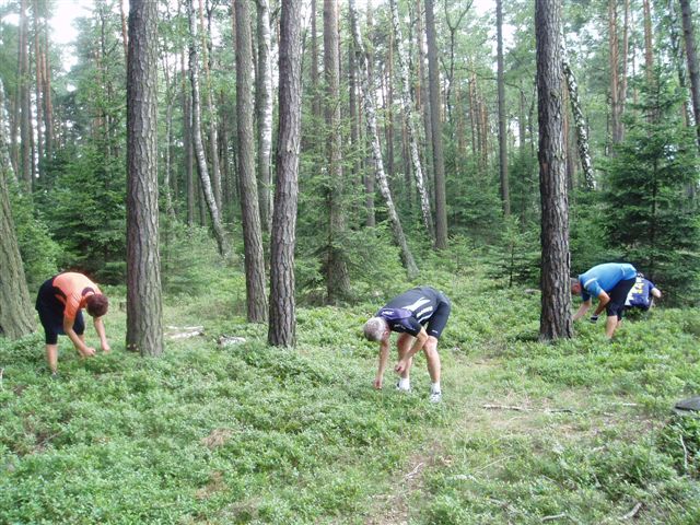 128-61-2008x07x19xBrdyx002.jpg