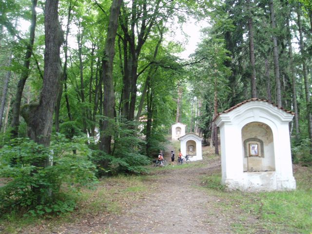 128-61-2008x07x19xBrdyx005.jpg
