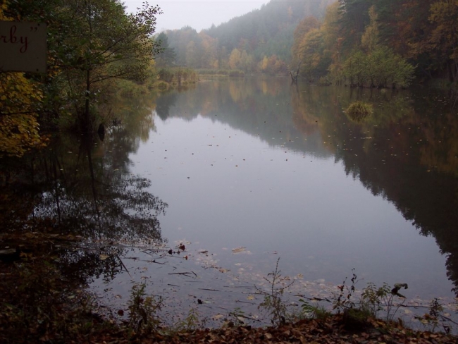 142-58-08_houskax006.jpg