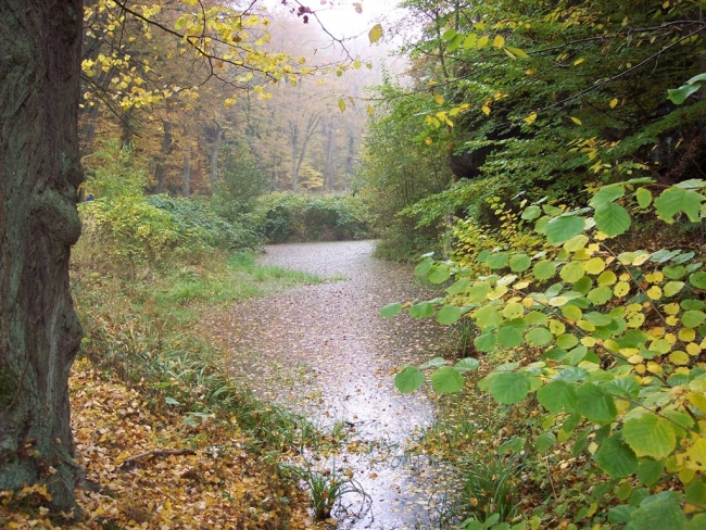 142-58-08_houskax009.jpg