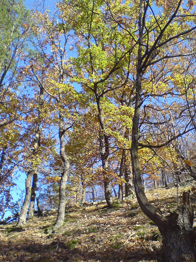 143-22-DSC01069b.jpg
