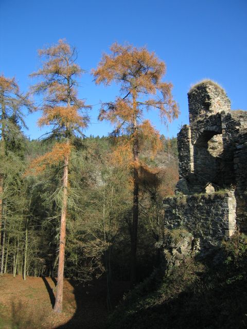 150-17-IMG_9133aa.jpg