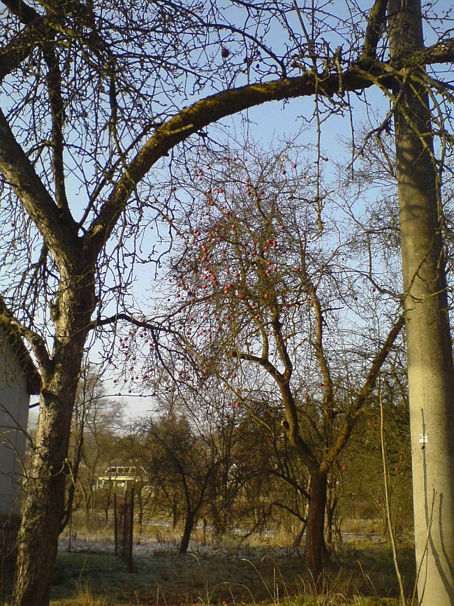 159-22-dsc01155b.jpg