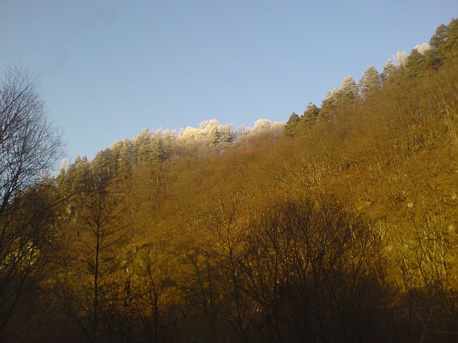 160-22-DSC01173b.jpg