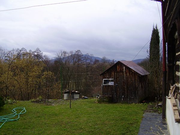 176-55-P3150012.JPG