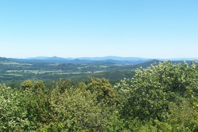181-56-2009_06_13x14_Machovo_jezerox009.jpg