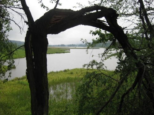199-58-03_Brdyx2009x051.jpg