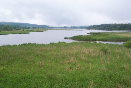 199-58-04_2009_05_30x31_Hradekx001.jpg