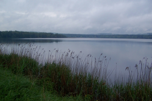 199-58-06_2009_05_30x31_Hradekx002.jpg