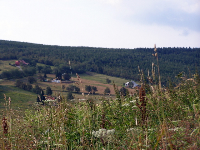 207-30-P8142953.JPG