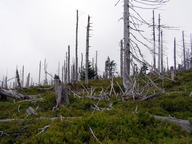 207-30-P8142954.JPG
