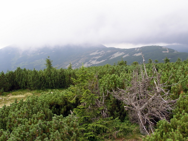 207-30-P8142967.JPG