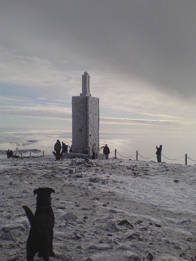 212-22-aDSC01883.jpg