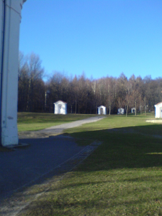 217-22-aDSC01863.jpg