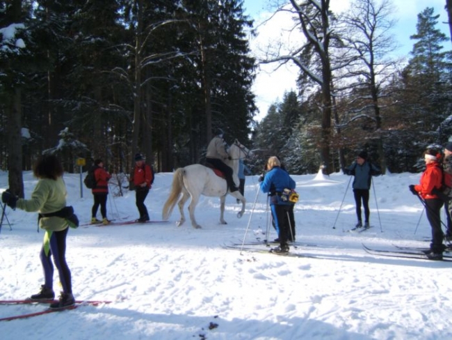 Autor: Iva Bergerová 238-12-DSCF5411.JPG