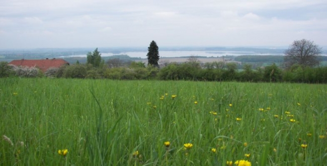 Autor: Iva Bergerová 251-12-04xstrechaxdomuxvexVaclavicich,xpodxnamixRozkosxaxhradeckaxkotlinax.jpg