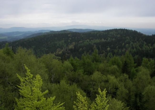 Autor: Iva Bergerová 251-12-12xtudyxpojedemexxhrebenxJatrebichxhorxzxrozhlednyxZaltman.jpg