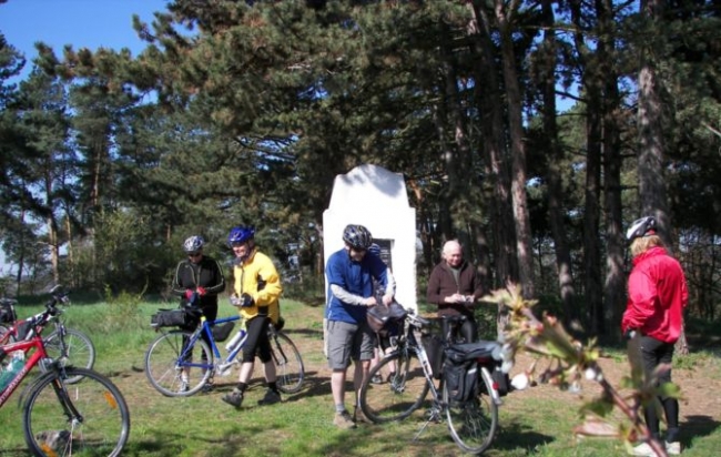 Autor: Iva Bergerová 255-12-01xRojenixnaxPichorr.jpg