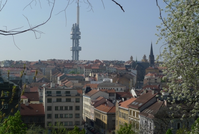 Autor: Míla Hrdličková 257-58-2010_04_24_Prazske_parkyx020.jpg