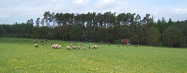 Autor: Iva Bergerová 265-12-04xjarnixvyhled.jpg