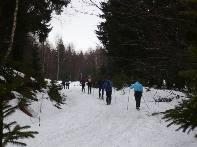 306-58-2011_01_14x16_CeskyJiretin011.JPG