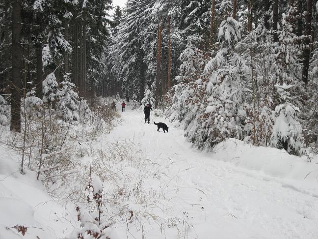 Autor: Zdeněk Foltýn 307-55-ZimniBrdyx004.jpg