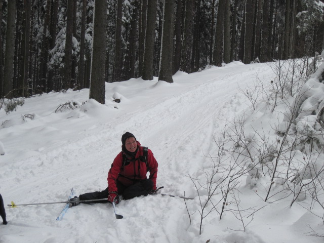 Autor: Zdeněk Foltýn 307-55-ZimniBrdyx014.jpg