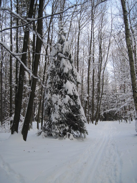 Autor: Zdeněk Foltýn 307-55-ZimniBrdyx021.jpg