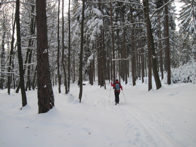 Autor: Zdeněk Foltýn 307-55-ZimniBrdyx022.jpg