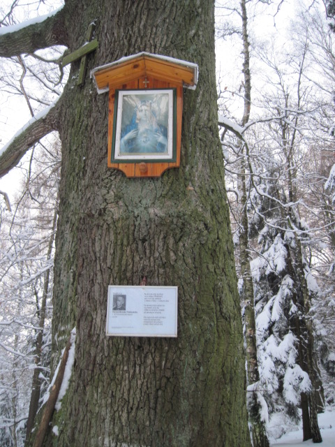 Autor: Zdeněk Foltýn 307-55-ZimniBrdyx024.jpg