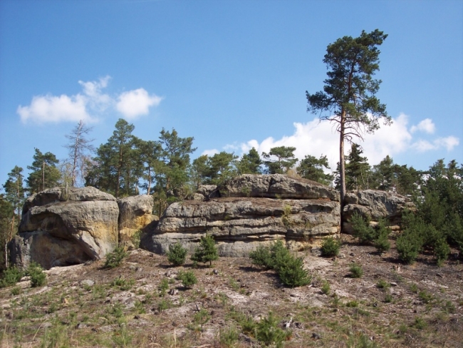 325-110-11_labe_014.JPG