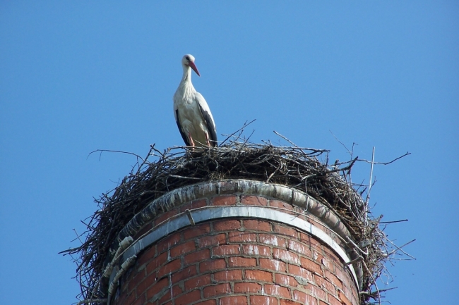 329-58-2011_04_22x25_Trebonx016.jpg