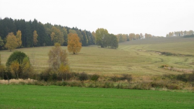 363-12-IMG_2536.jpg