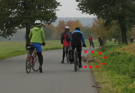 363-12-Zmatenaxsrna,xcyklistexbrzdixaxsrnkaxpadaxnaxasfalt.jpg