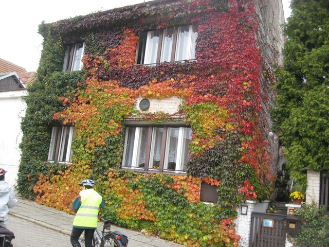 367-92-28.10.2011xxVsetatyxxxxMBx008.jpg