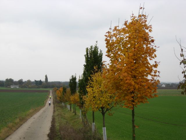 367-92-28.10.2011xxVsetatyxxxxMBx018.jpg