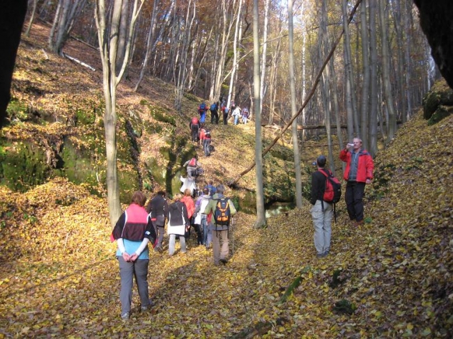 368-92-6.11.2011xxxxxKokorinskox038.jpg