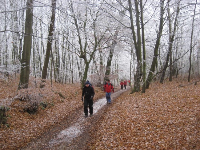 373-92-17.11.2011xxxKarlstejnxxxPrahax007.jpg