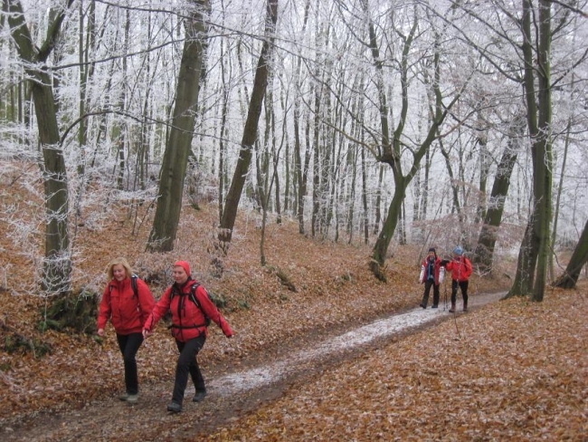 373-92-17.11.2011xxxKarlstejnxxxPrahax008.jpg