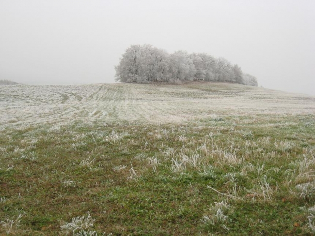 373-92-17.11.2011xxxKarlstejnxxxPrahax010.jpg