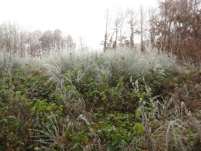 373-92-17.11.2011xxxKarlstejnxxxPrahax016.jpg
