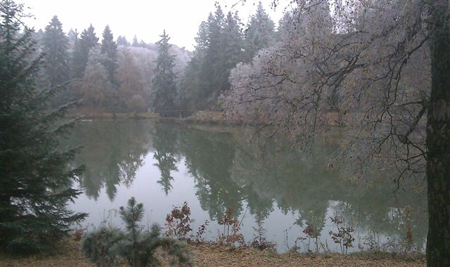 374-136-IMAG0260.jpg
