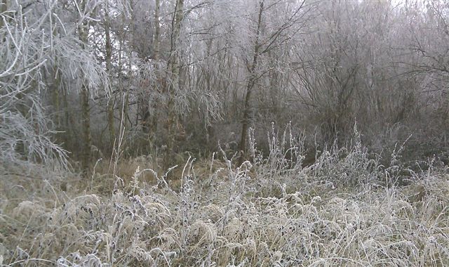 374-136-IMAG0261.jpg