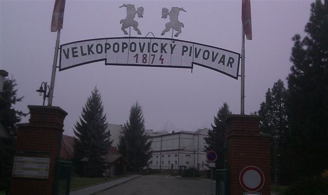 374-136-IMAG0262.jpg
