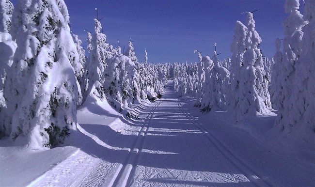 375-136-IMAG0272.jpg